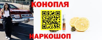 тгк Гай