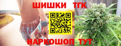 тгк Гай