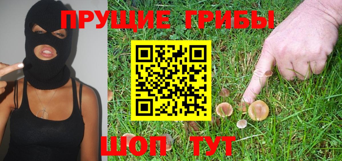 Псилоцибиновые грибы ЛСД Можга