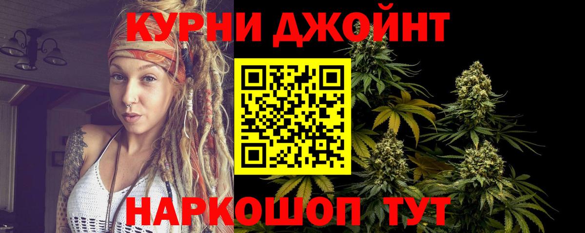 Можга  Шишки марихуана планчик  Вход с VPN  Конопля Bruce Banner  Марихуана OG Kush 