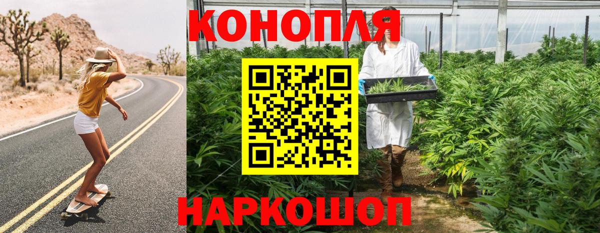 Бошки марихуана марихуана Можга